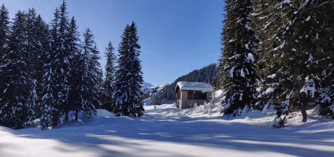 Z Studio - Next Door To Vals Therme Eksteriør billede